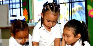 Foto: Claves para que los niños y niñas aprendan mejor en clases / TN8