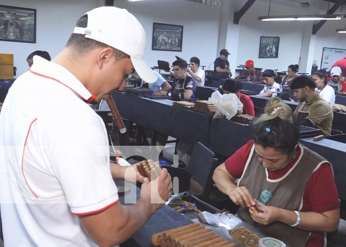 Foto: Fábricas de tabaco en Estelí / TN8