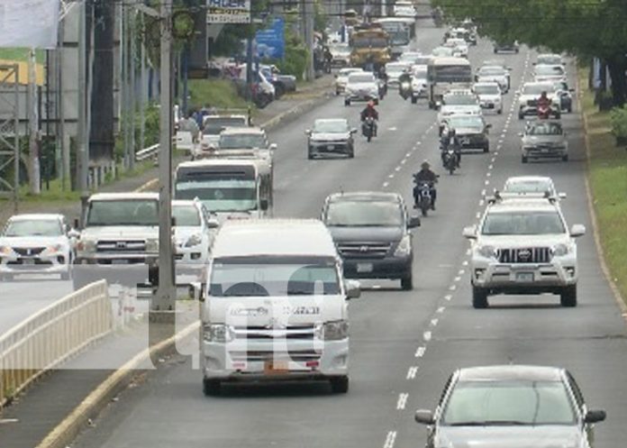 Foto: Opinión de la población de Managua sobre imprudencias viales / TN8