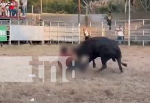 Foto: El conocido Miura mandó al hospital a un improvisado en las fiestas patronales de Diriomo/TN8