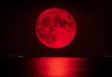 Foto: Todo lo que necesita saber sobre la Luna de Sangre /Cortesía