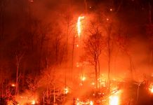 Foto: Nueva York en estado de emergencia /Cortesía