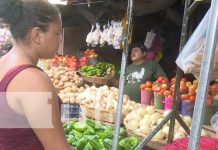 Foto: Monitoreo por productos de la canasta básica en los mercados de Managua / TN8