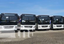 Foto: Nicaragua recibe 218 nuevos buses Yutong/Tn8